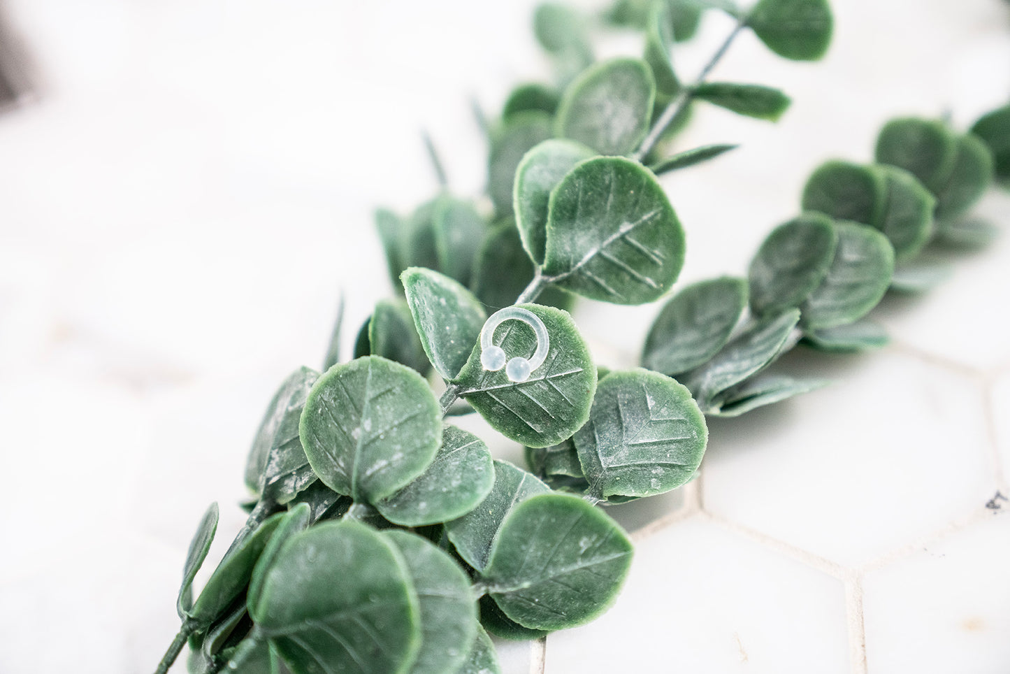 Eucalyptus Scent - Single Ring