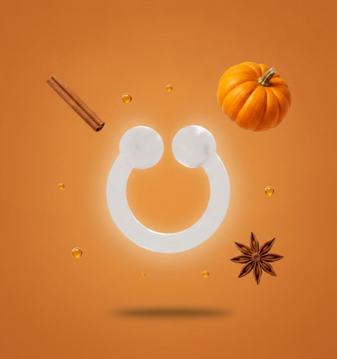 pumpkin spice scent ring with pumpkin, cinnamon, and star anise on an orange field