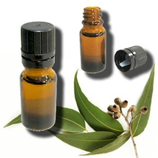 Benefits of Eucalyptus-