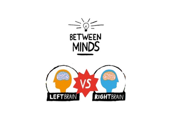 Right Brain / Left Brain Basics