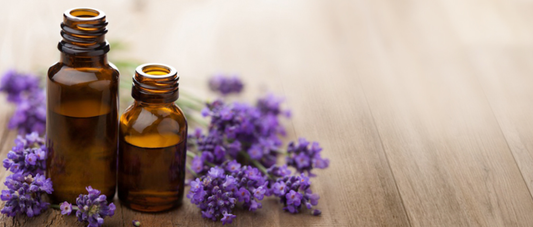 Lavender Essential Oil