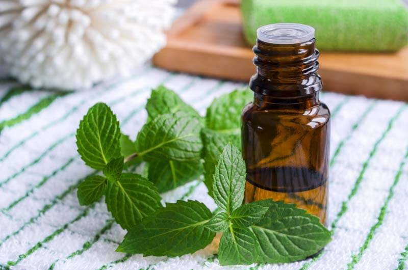 Benefits of Peppermint