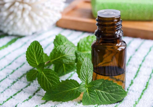 Benefits of Peppermint