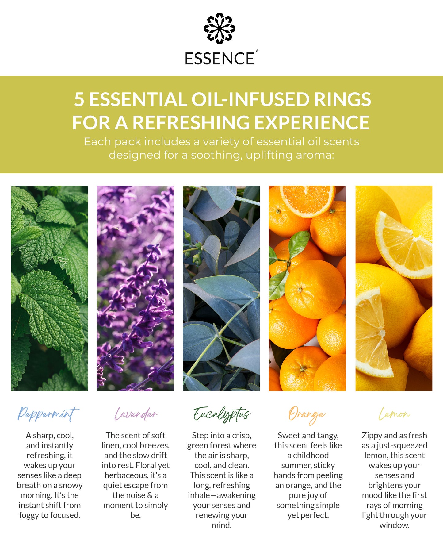 Starter Kit 5 Pack Bundle