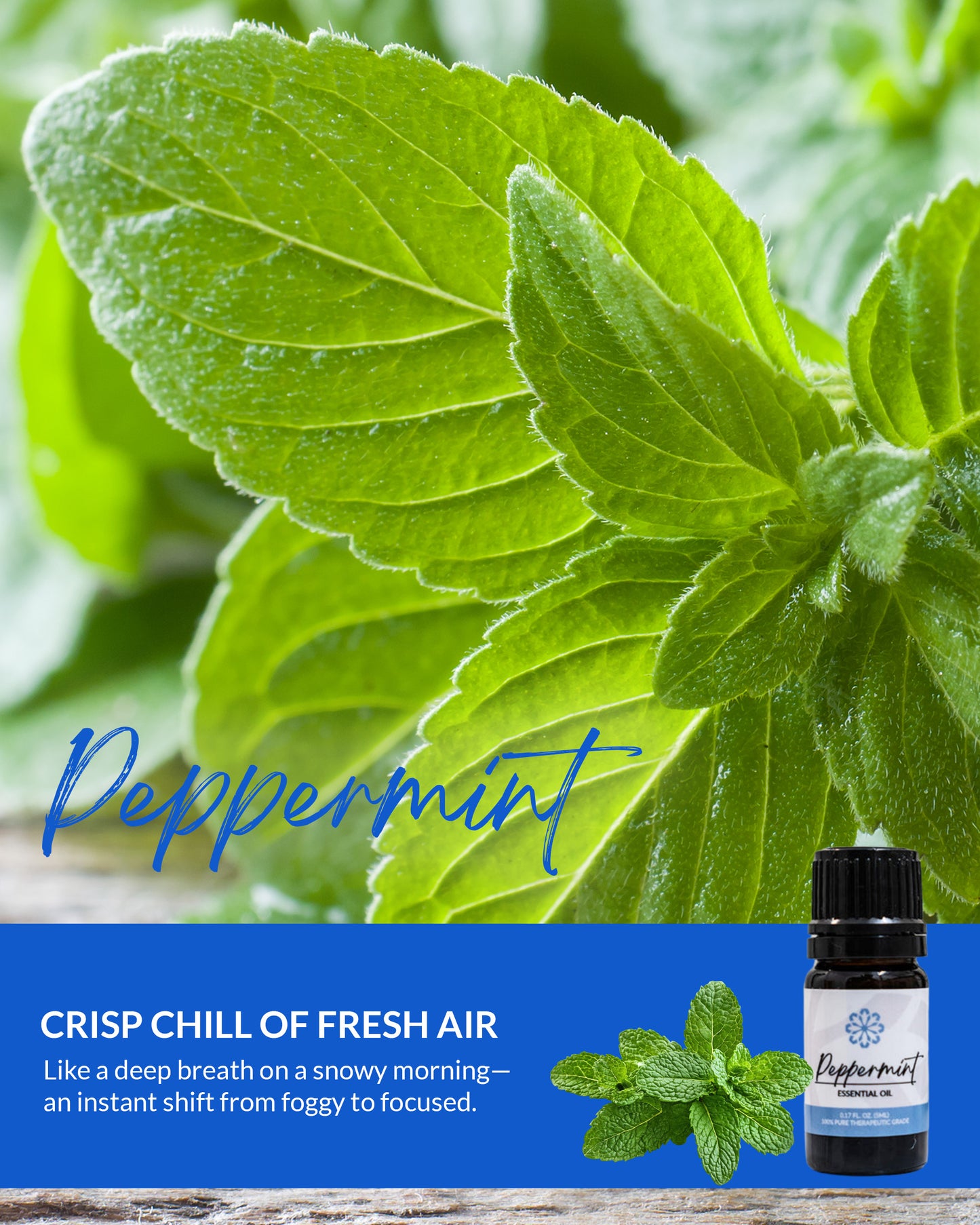 Peppermint Essential Oil 5 mL - Embrace Natural Relief!