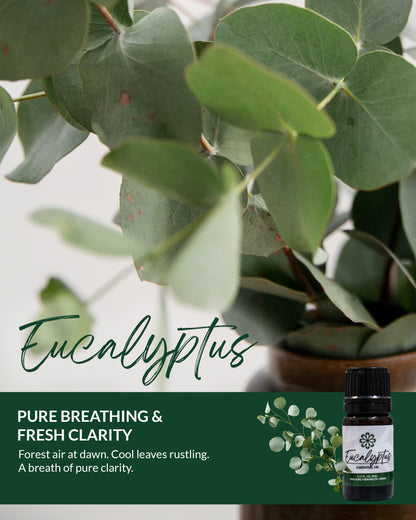 Eucalyptus Essential Oil 5mL - Pure, Therapeutic Grade for Clear Breathing & Congestion Relief