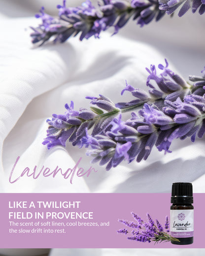 Lavender Essential Oil 5mL - Pure, Therapeutic Grade for Natural Relaxation & Stress Relief