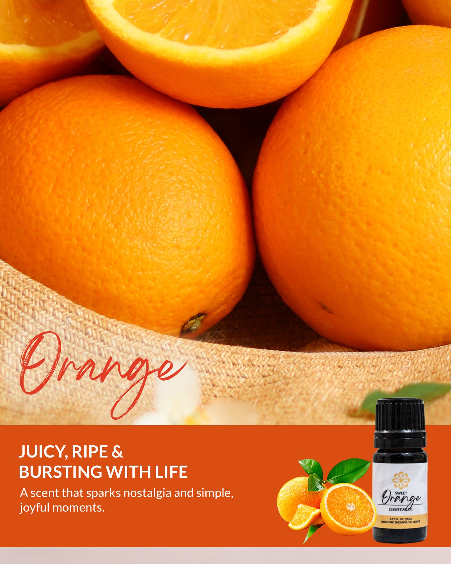 Orange Essential Oil Blend 5mL - Natural Refreshment!