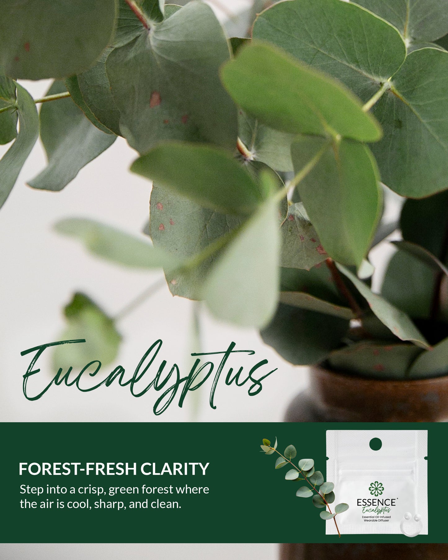 Eucalyptus Scent Nasal Diffuser Ring