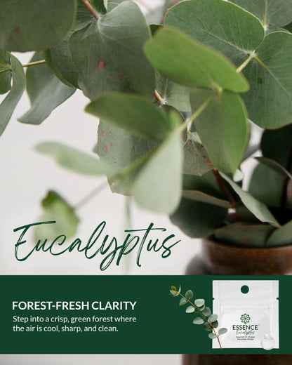 Eucalyptus Scent Nasal Diffuser Ring