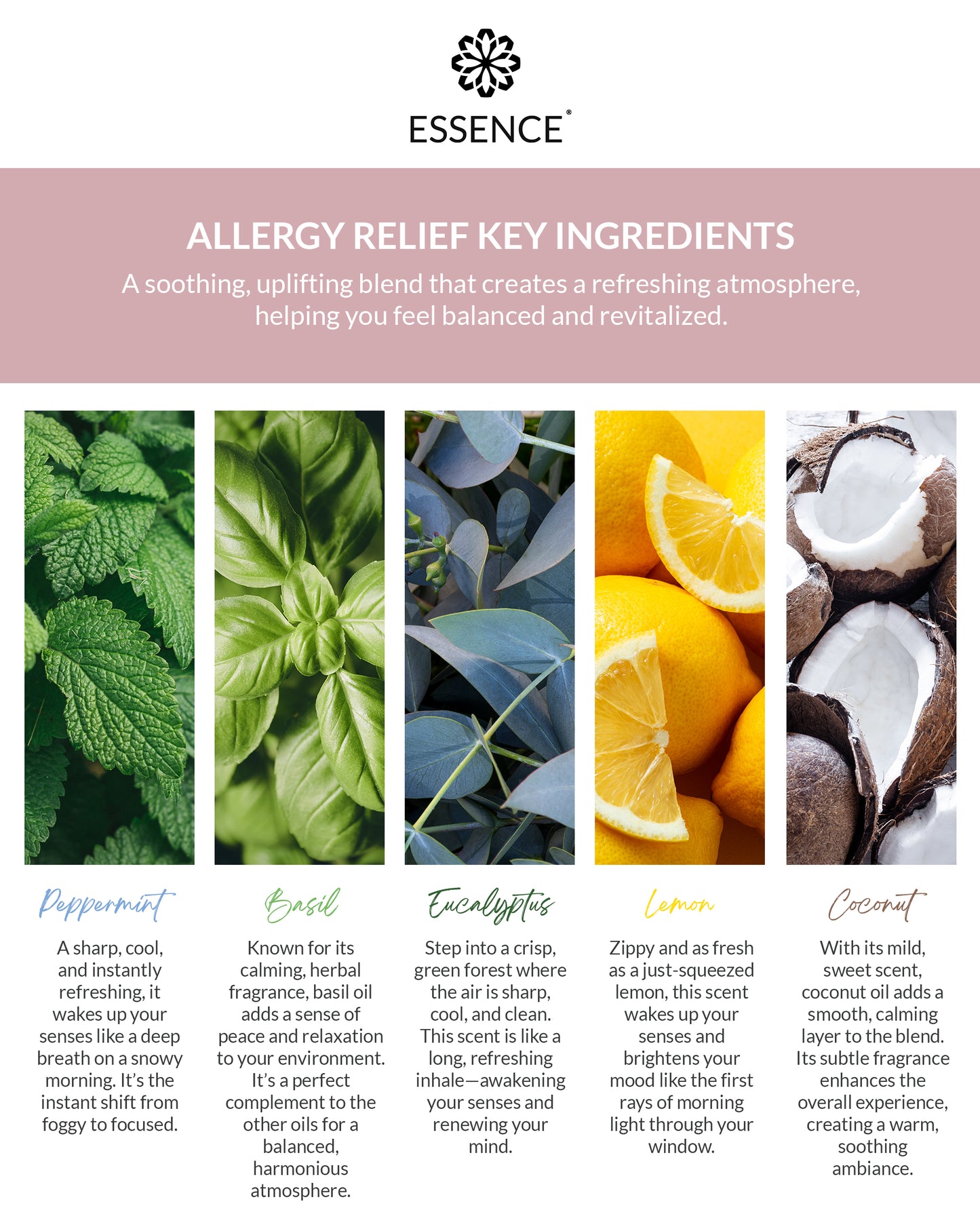 Allergy Relief Nasal Diffuser Ring