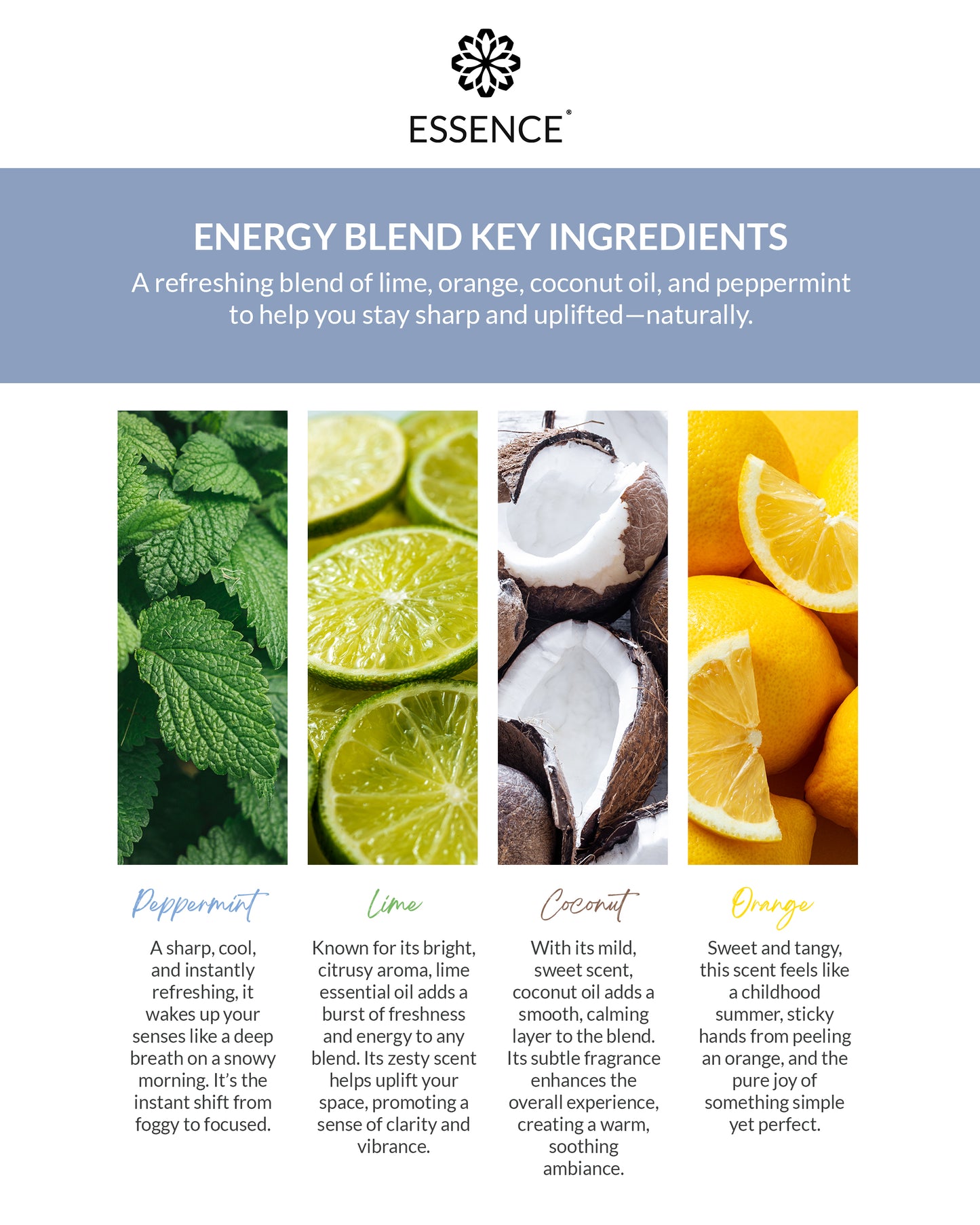 Energy Blend Nasal Diffuser Ring