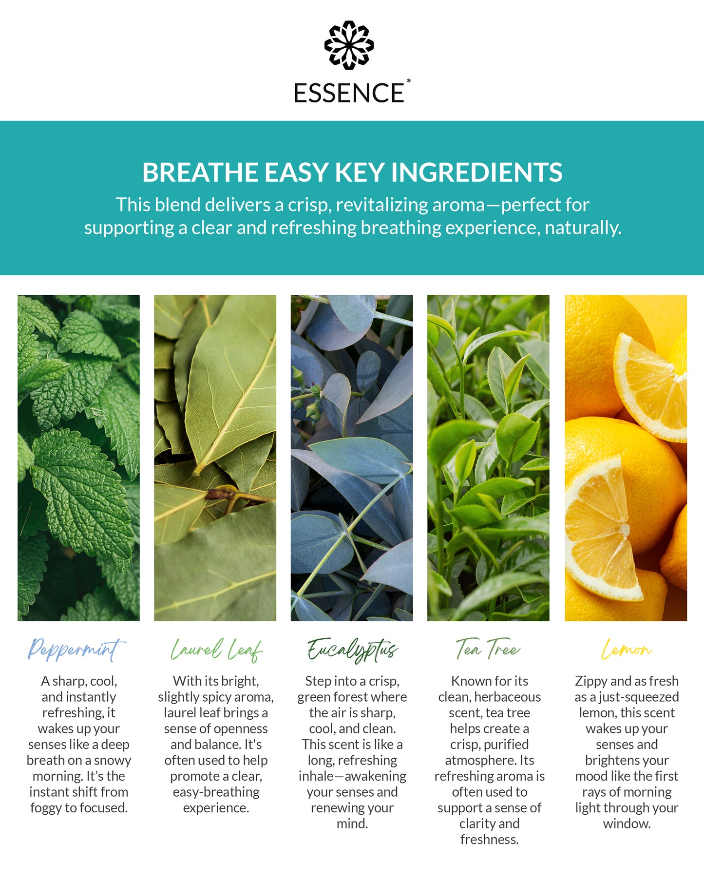 Breathe Easy Blend Nasal Diffuser Ring