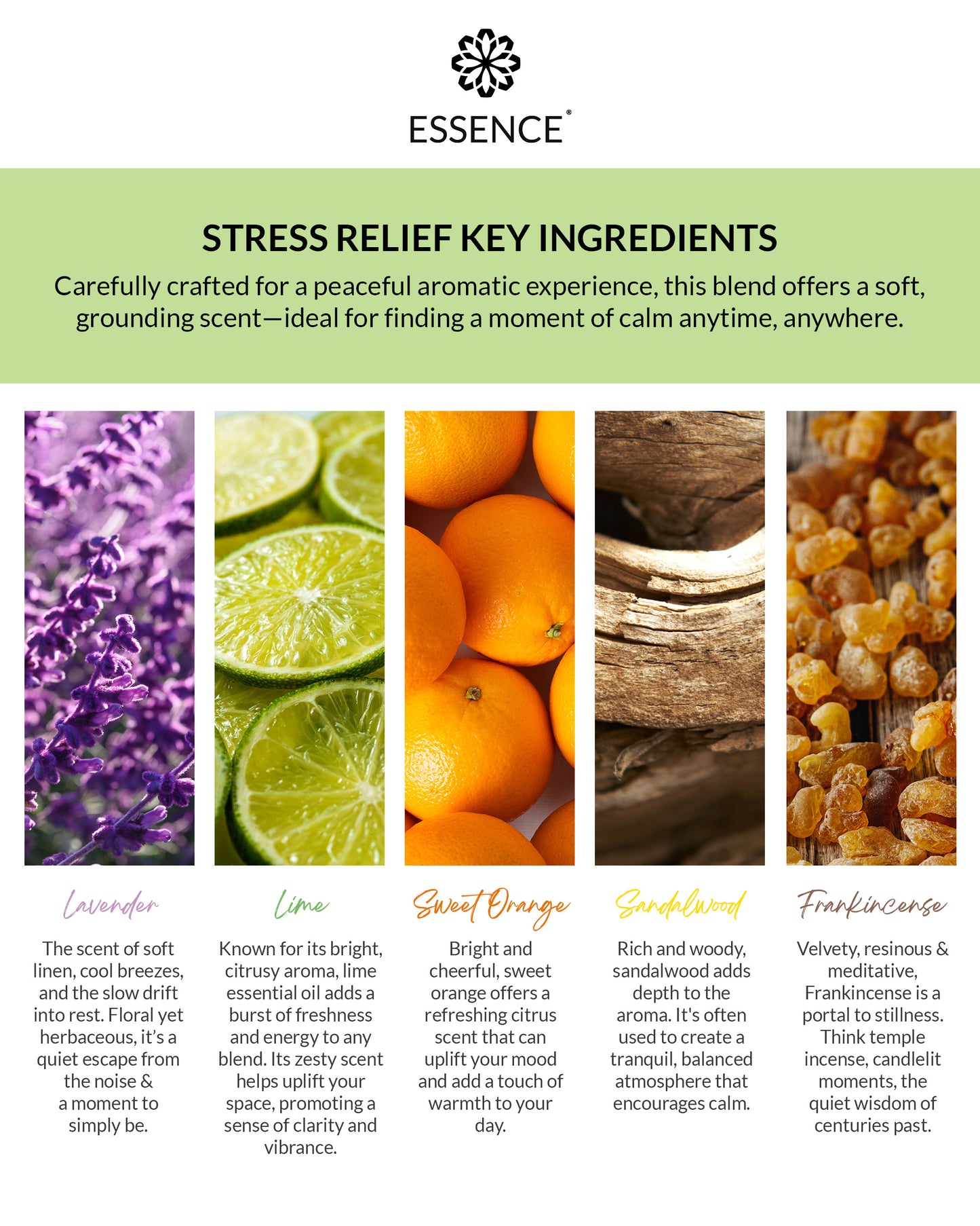 Stress Relief Blend Nasal Diffuser Ring