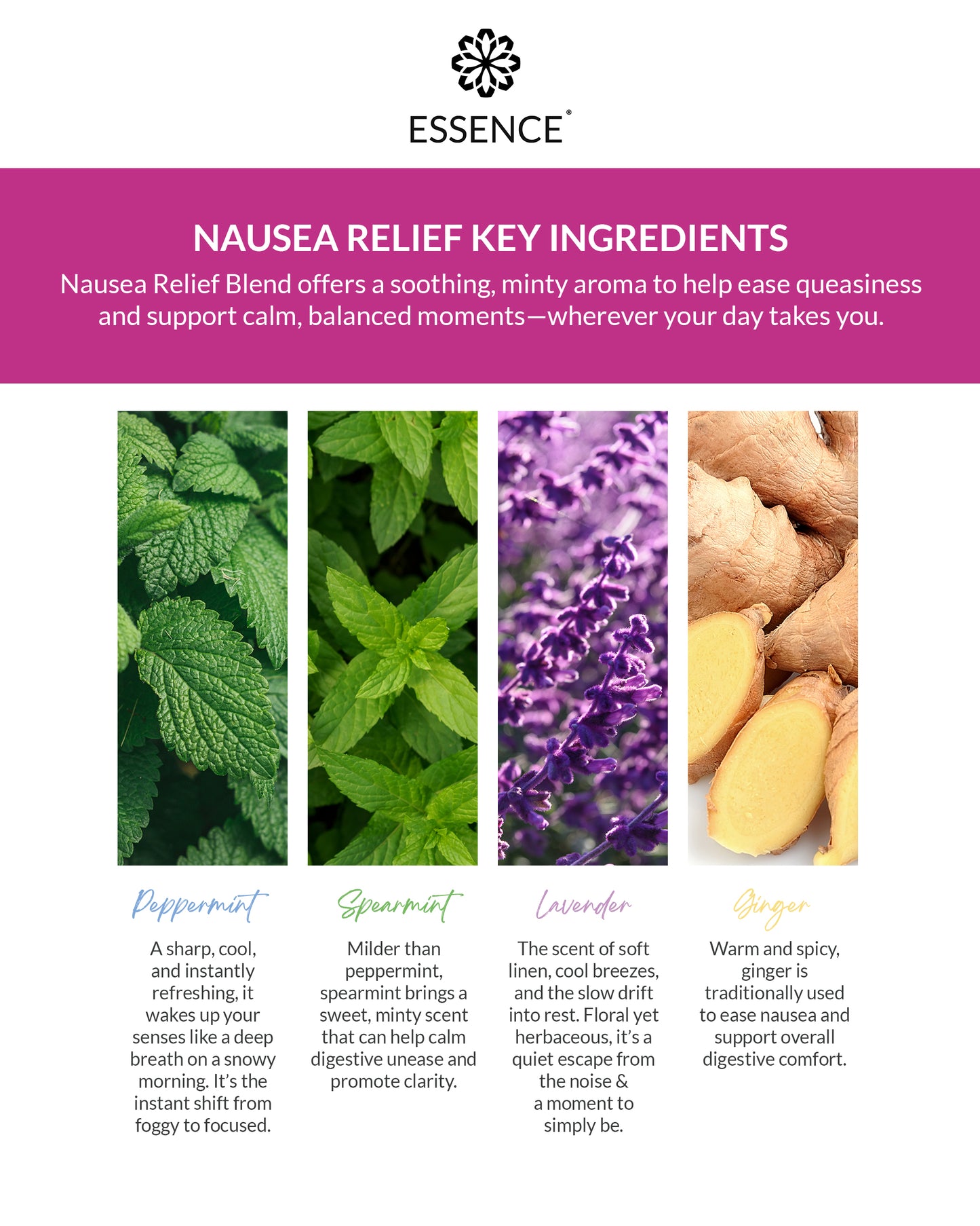 Nausea Relief Blend Nasal Diffuser Ring