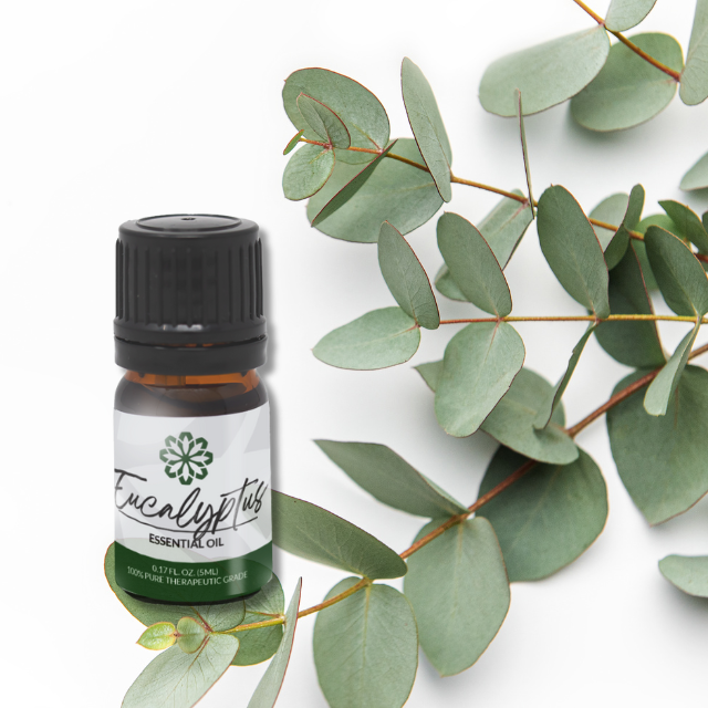 Eucalyptus Essential Oil 5mL - Pure, Therapeutic Grade for Clear Breathing & Congestion Relief