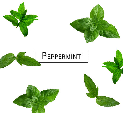 Peppermint Scent - Single Ring